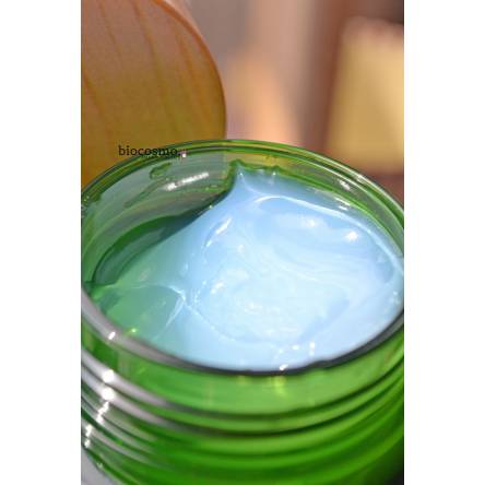 Увлажняющий крем для лица с алоэ The Saem Jeju Fresh Aloe Cream - 50 мл