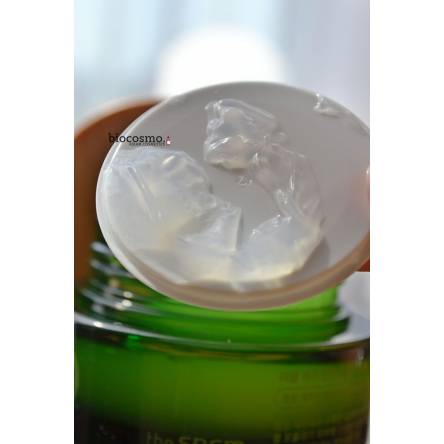 Увлажняющий крем для лица с алоэ The Saem Jeju Fresh Aloe Cream - 50 мл