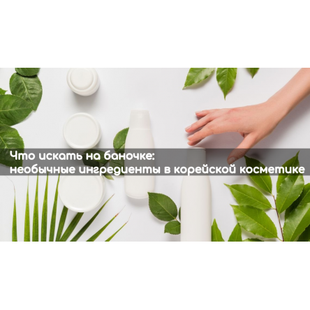 Что искать на баночке: необычные ингредиенты в корейской косметике