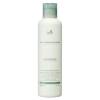 Освежающий шампунь с хной, кактусом и ментолом Lador Pure Henna Shampoo - 200 мл